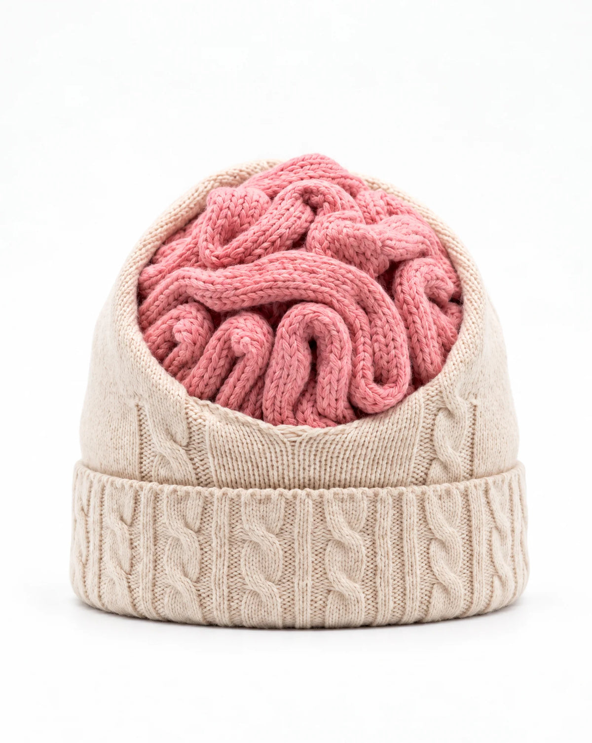 Brainie Knit Beanie